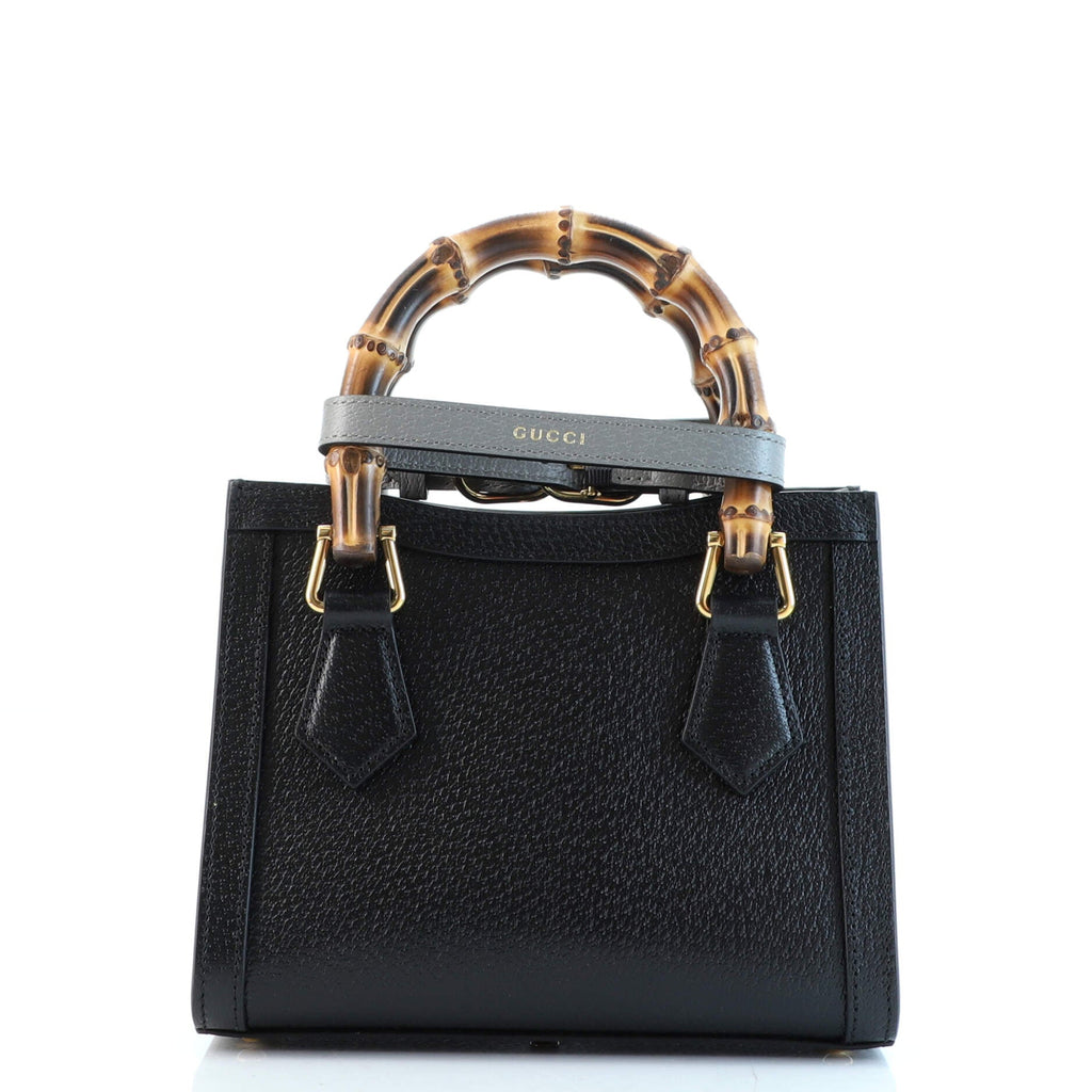 Diana NM Bamboo Handle Tote Leather Mini
