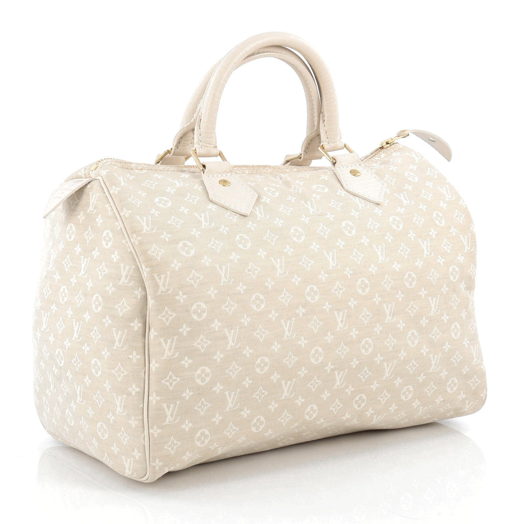 Speedy Handbag Mini Lin 30