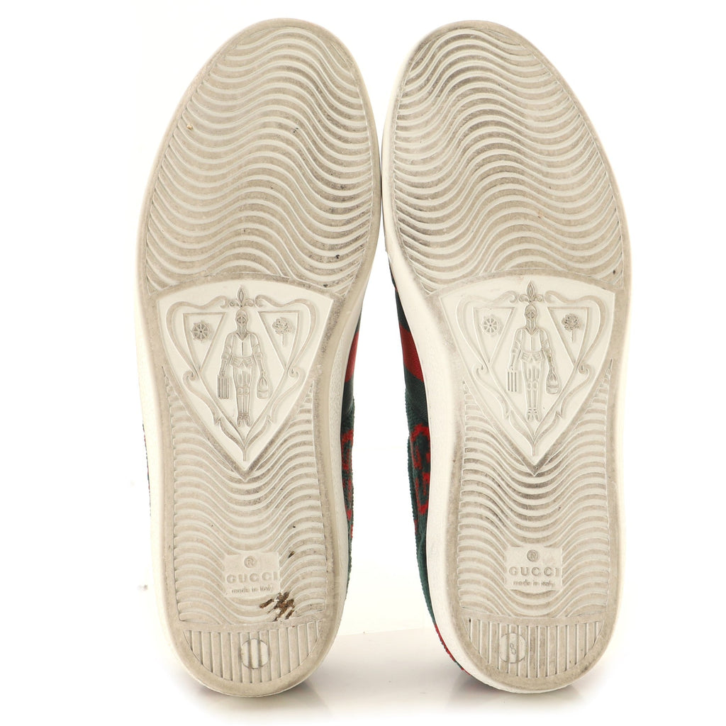 Ace Sneakers GG Velvet