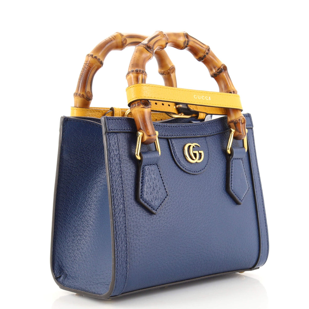 Diana NM Bamboo Handle Tote Leather Mini