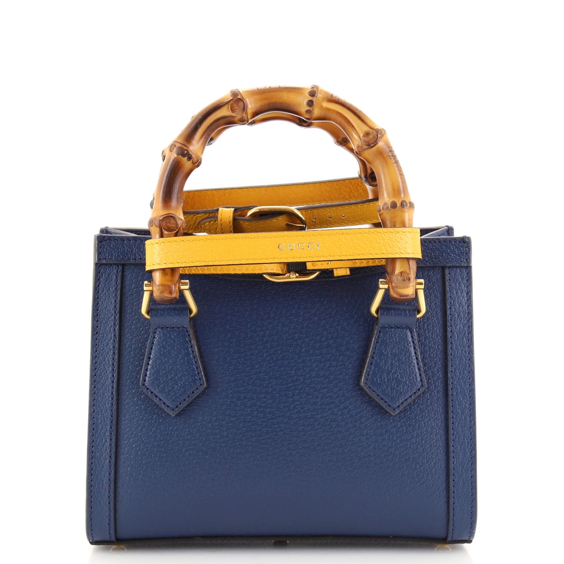 Diana NM Bamboo Handle Tote Leather Mini