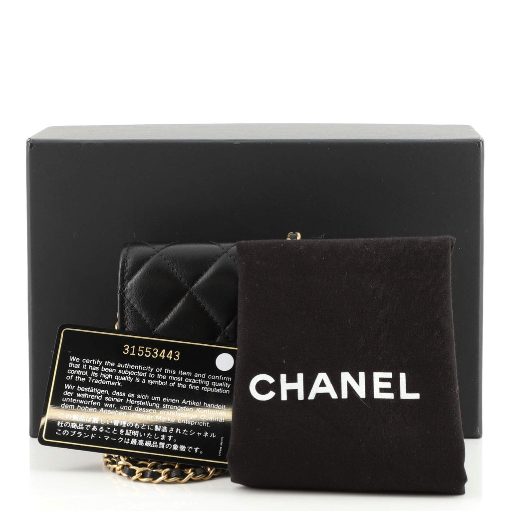 Pearl Crush Flap Clutch with Chain Quilted Lambskin Mini