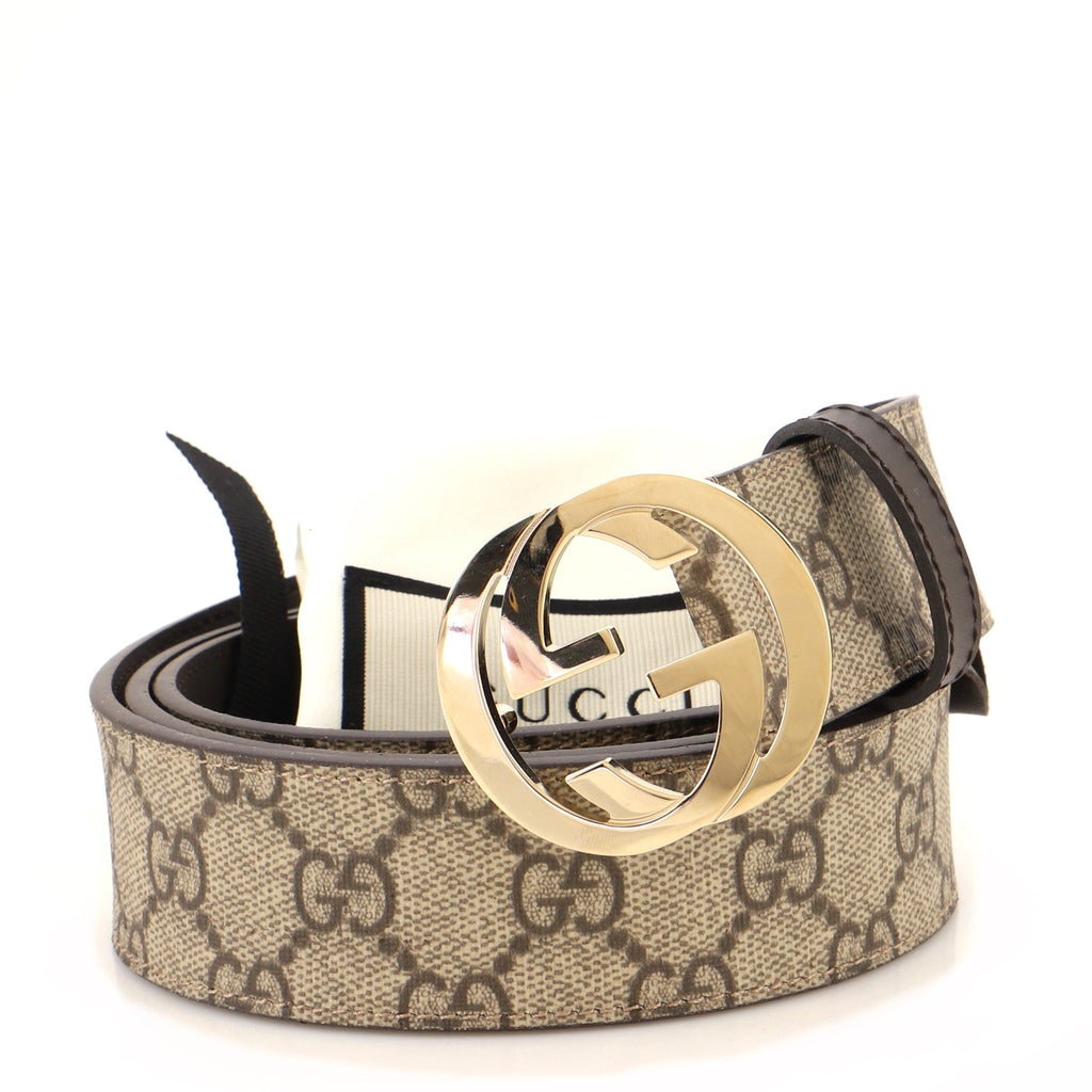 Interlocking G Belt GG Coated Canvas Wide 100