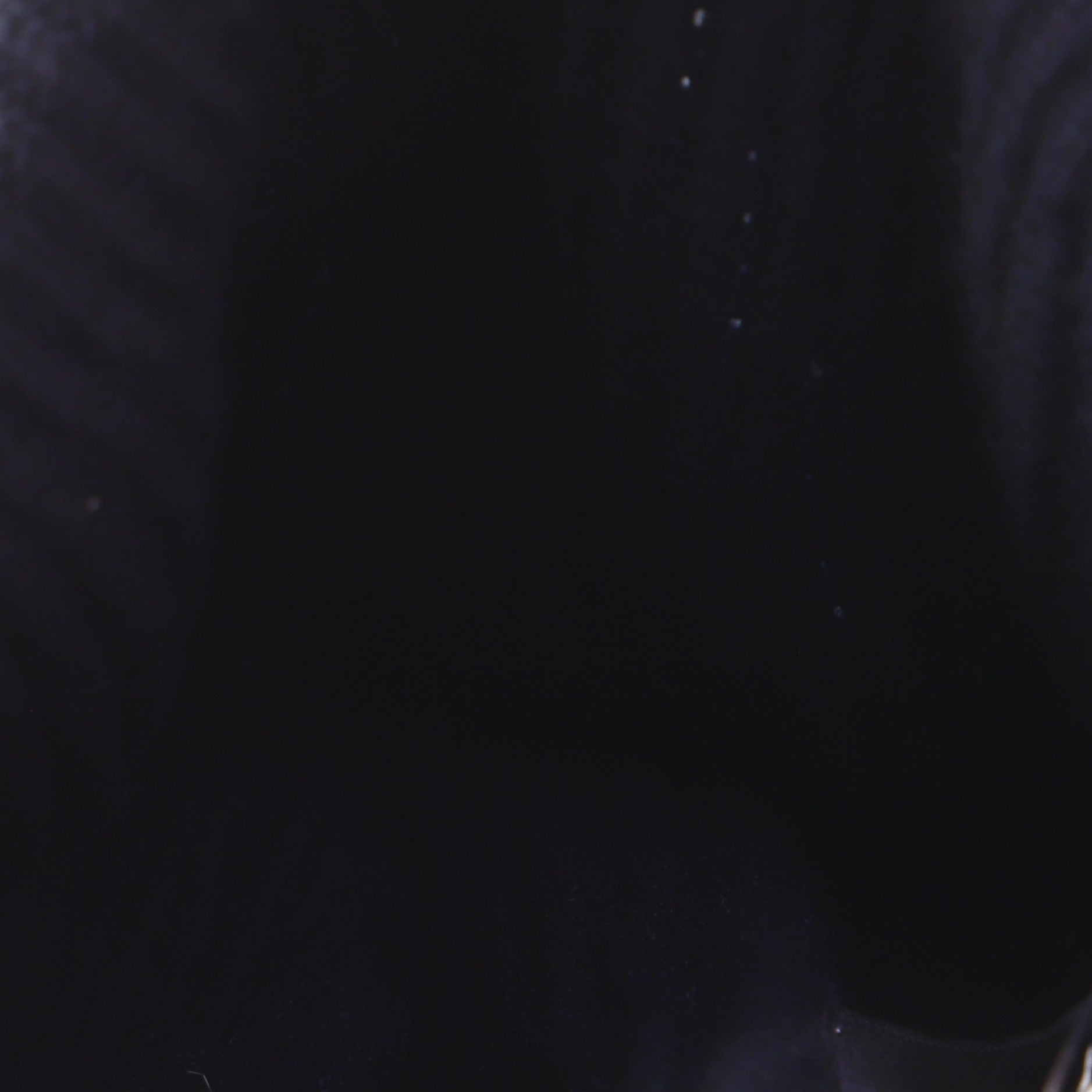 Logo Beanie Cashmere with Sequins