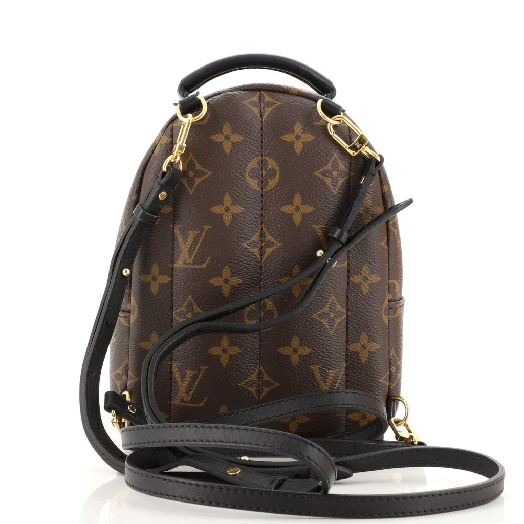 Palm Springs Backpack Monogram Canvas Mini