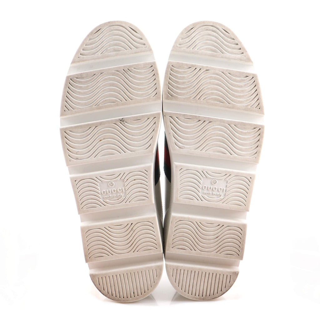 Women's Ace Web Platform Sneakers Leather