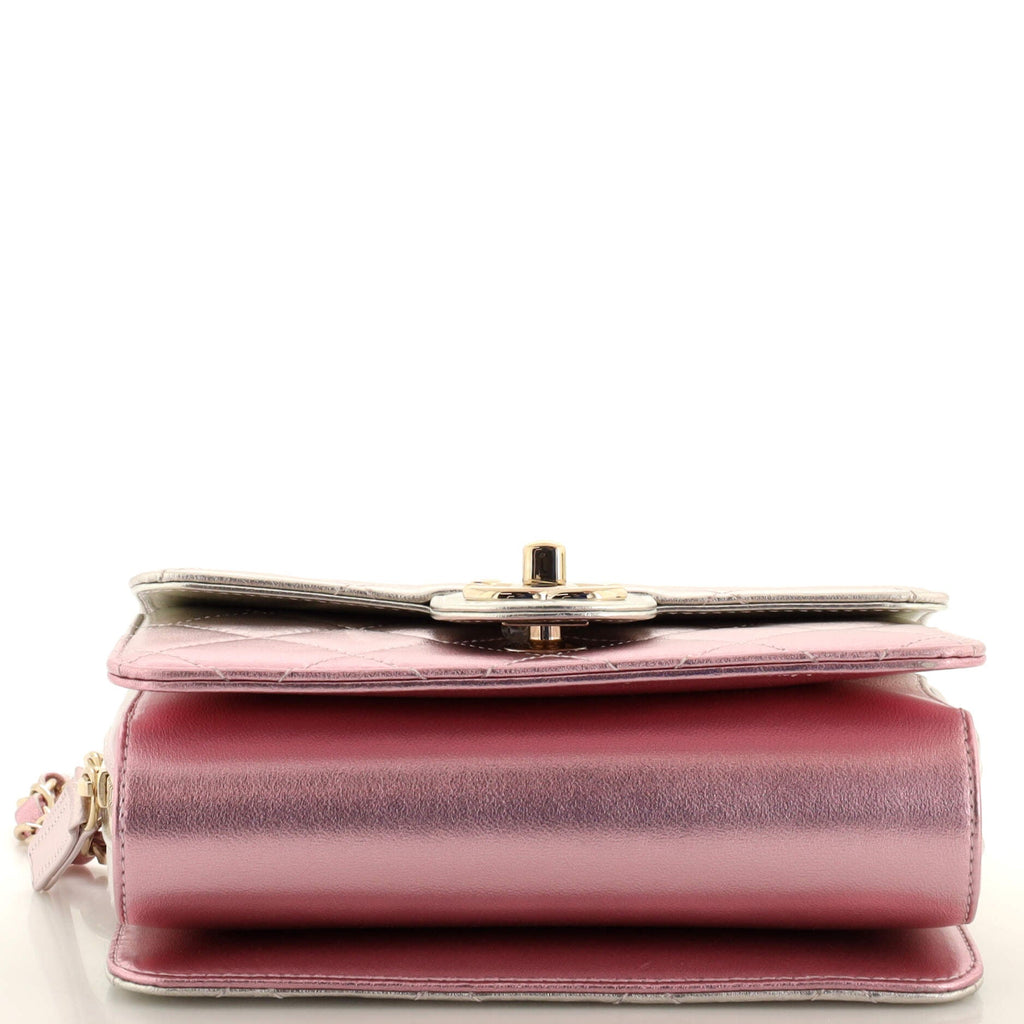 Like a Wallet Flap Bag Quilted Gradient Metallic Lambskin Mini