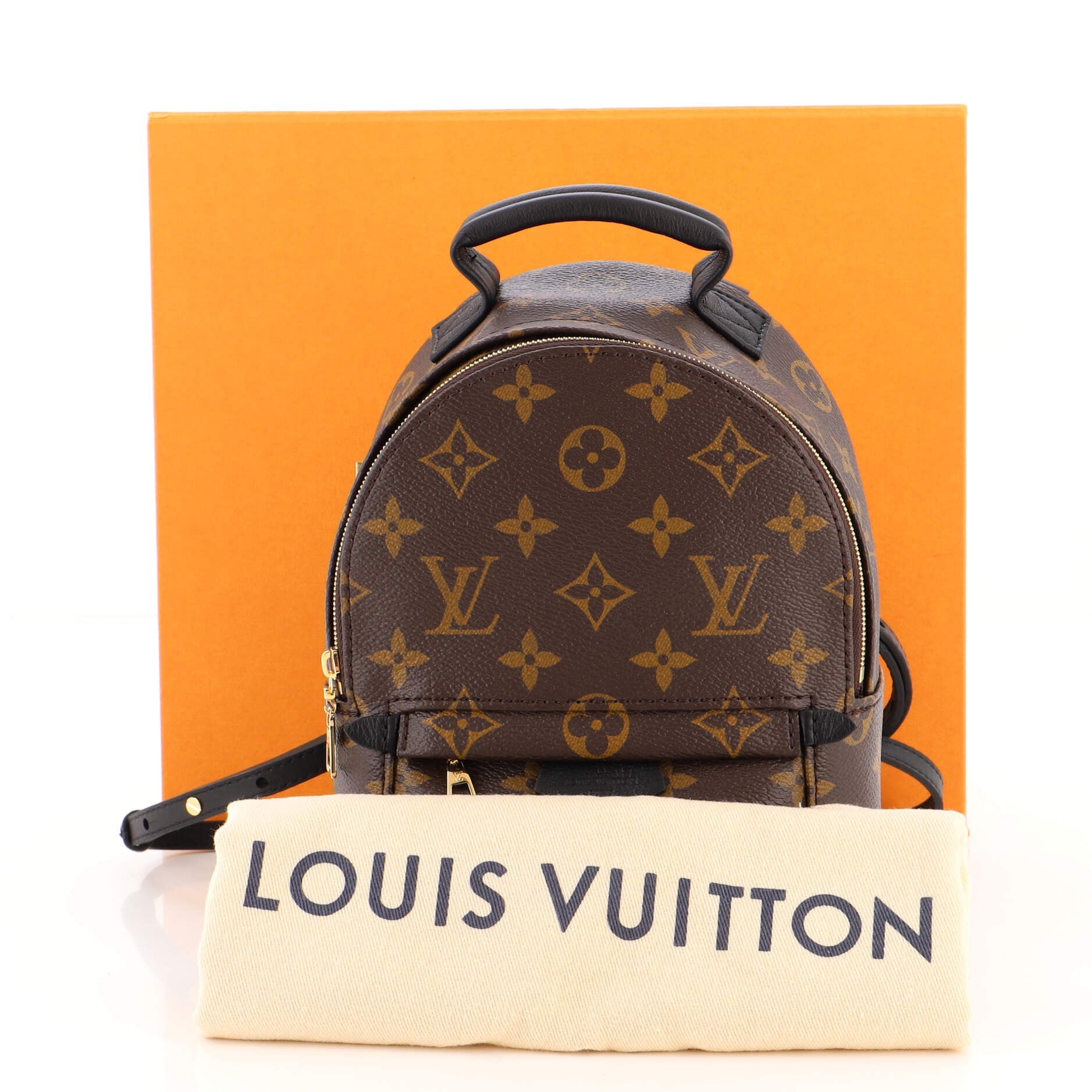 Palm Springs Backpack Monogram Canvas Mini