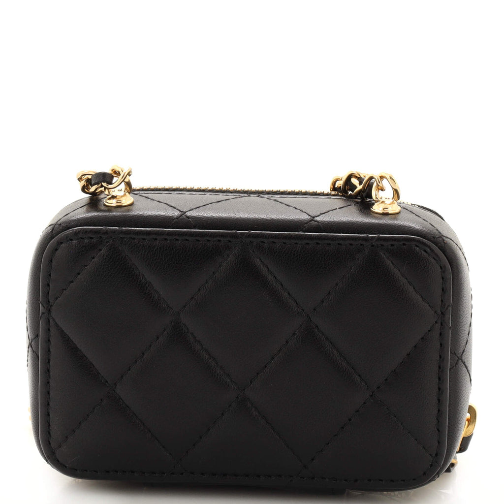 CC Zip Around Clutch with Chain Quilted Metal and Lambskin Small