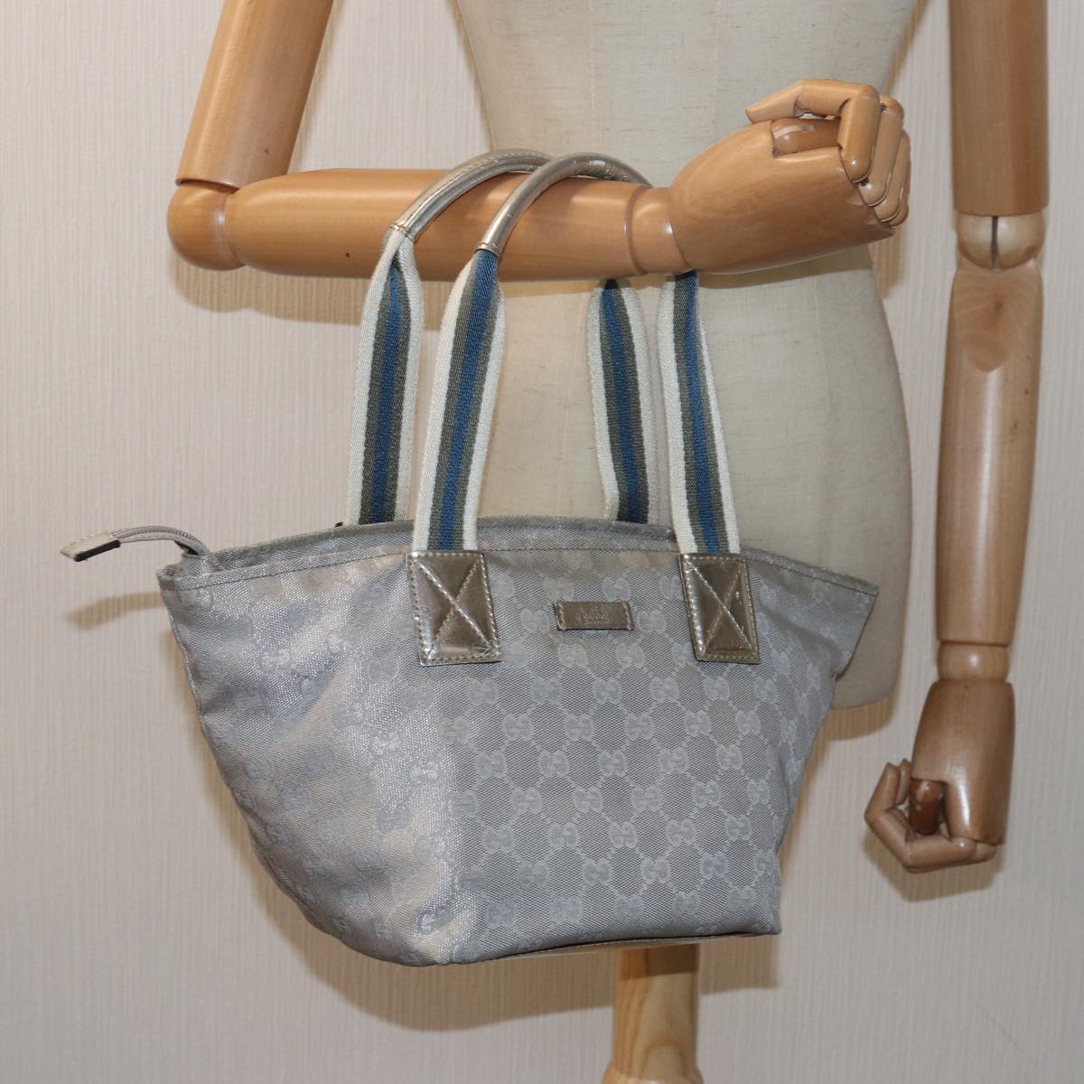 Gucci GG canvas