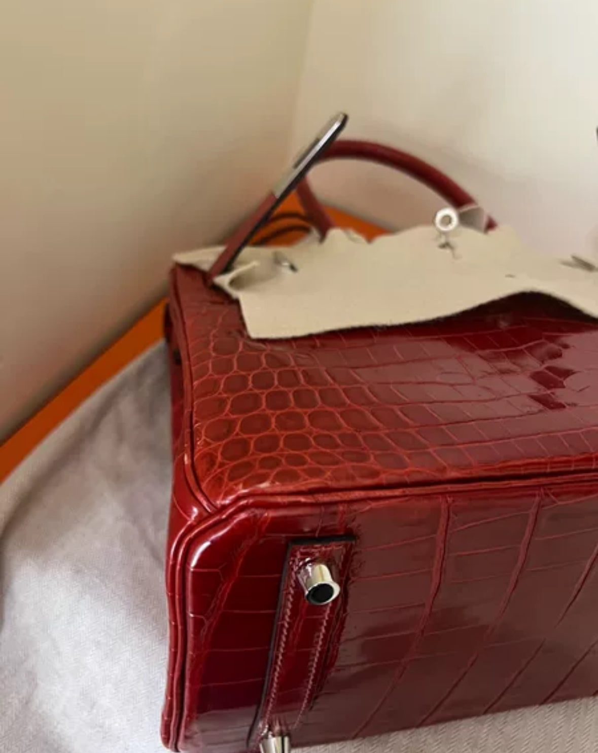 Hermes Birkin 30 Bag In Braise Shiny Niloticus with Palladium Hardware