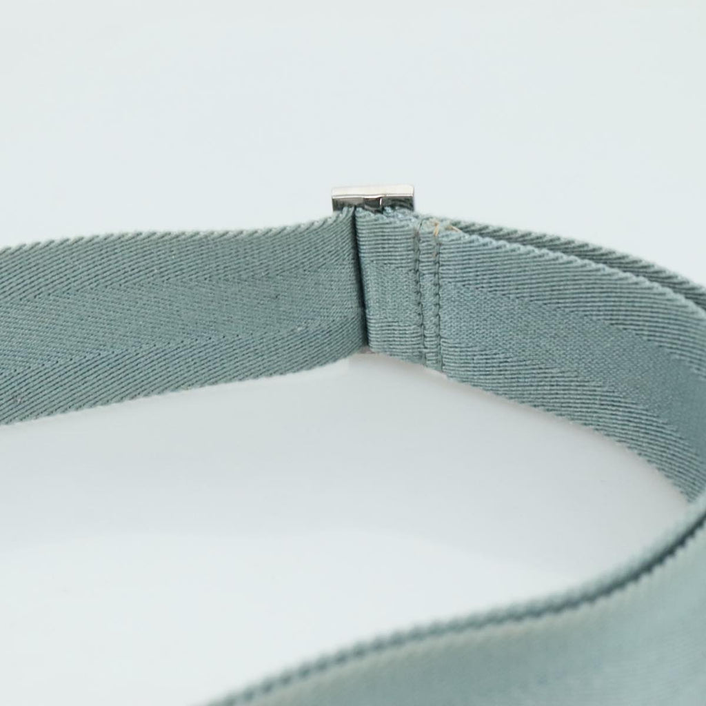 Gucci GG canvas
