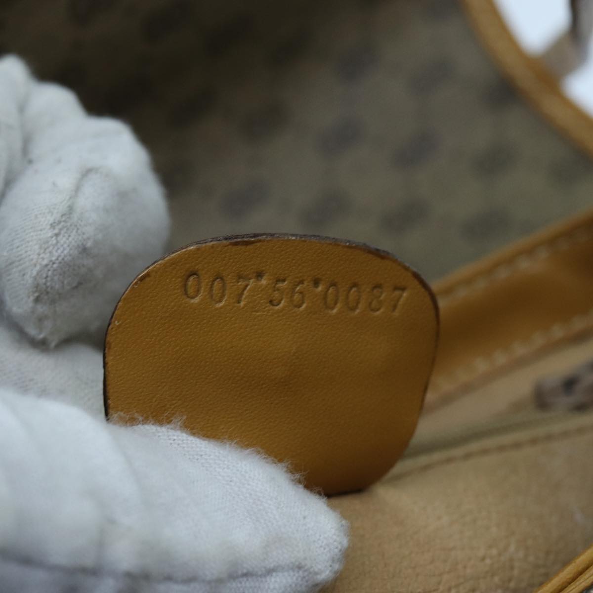 Gucci GG canvas