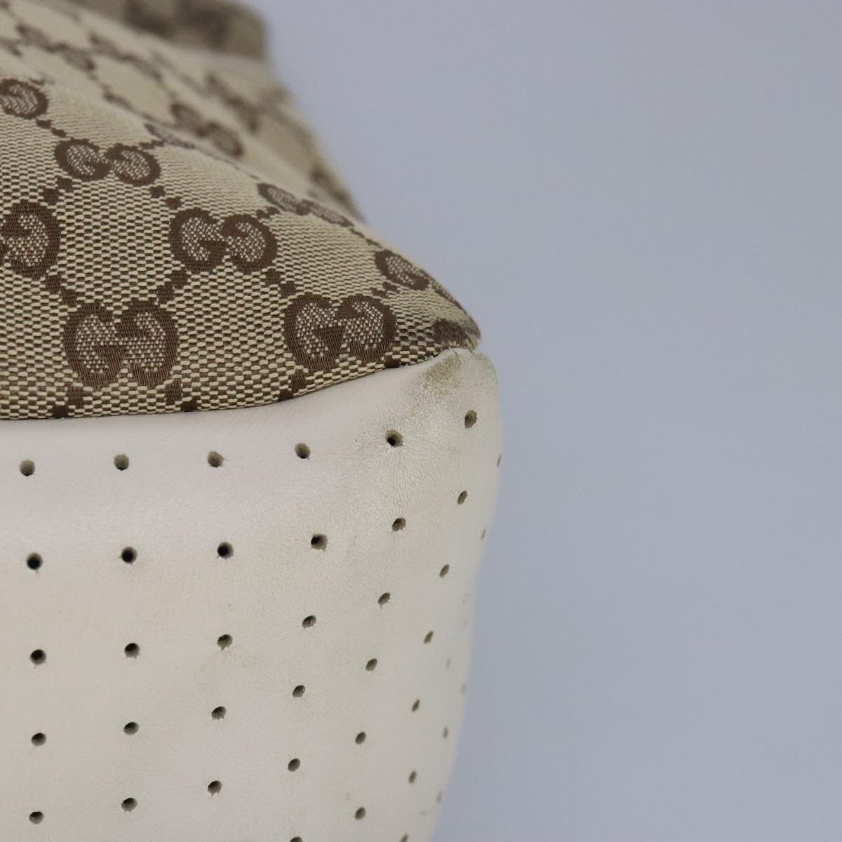 Gucci GG canvas
