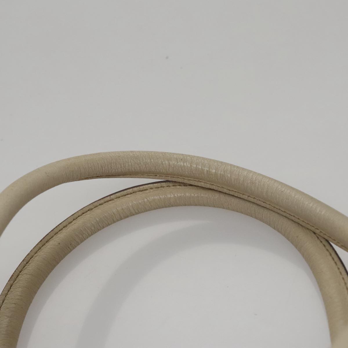 Gucci GG canvas