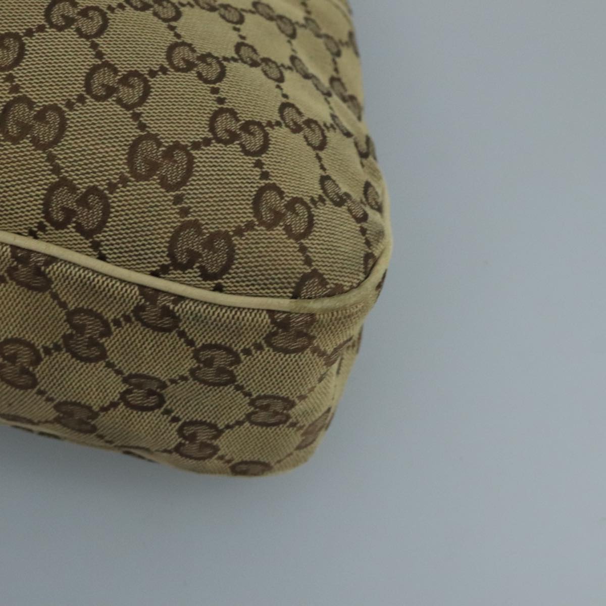 Gucci GG canvas
