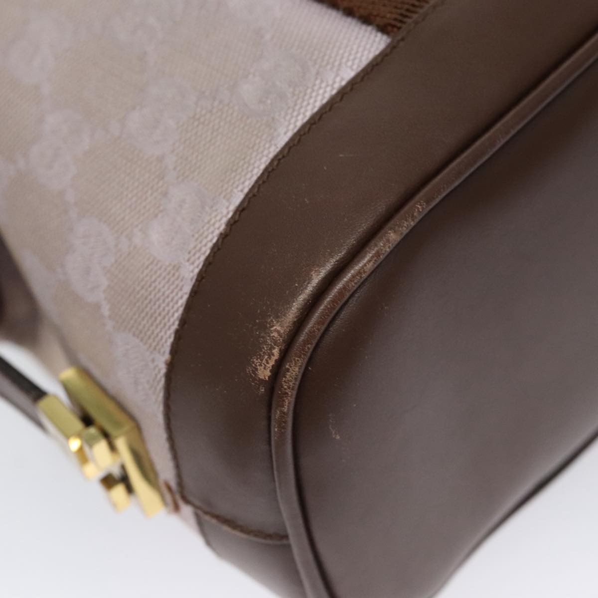 Gucci GG canvas