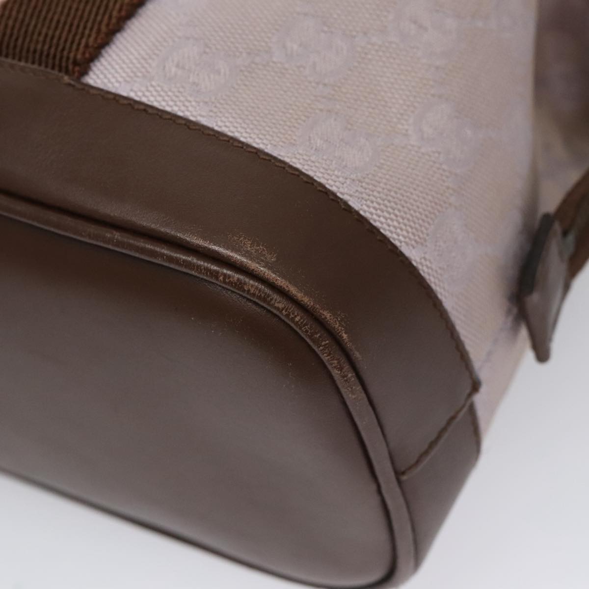 Gucci GG canvas