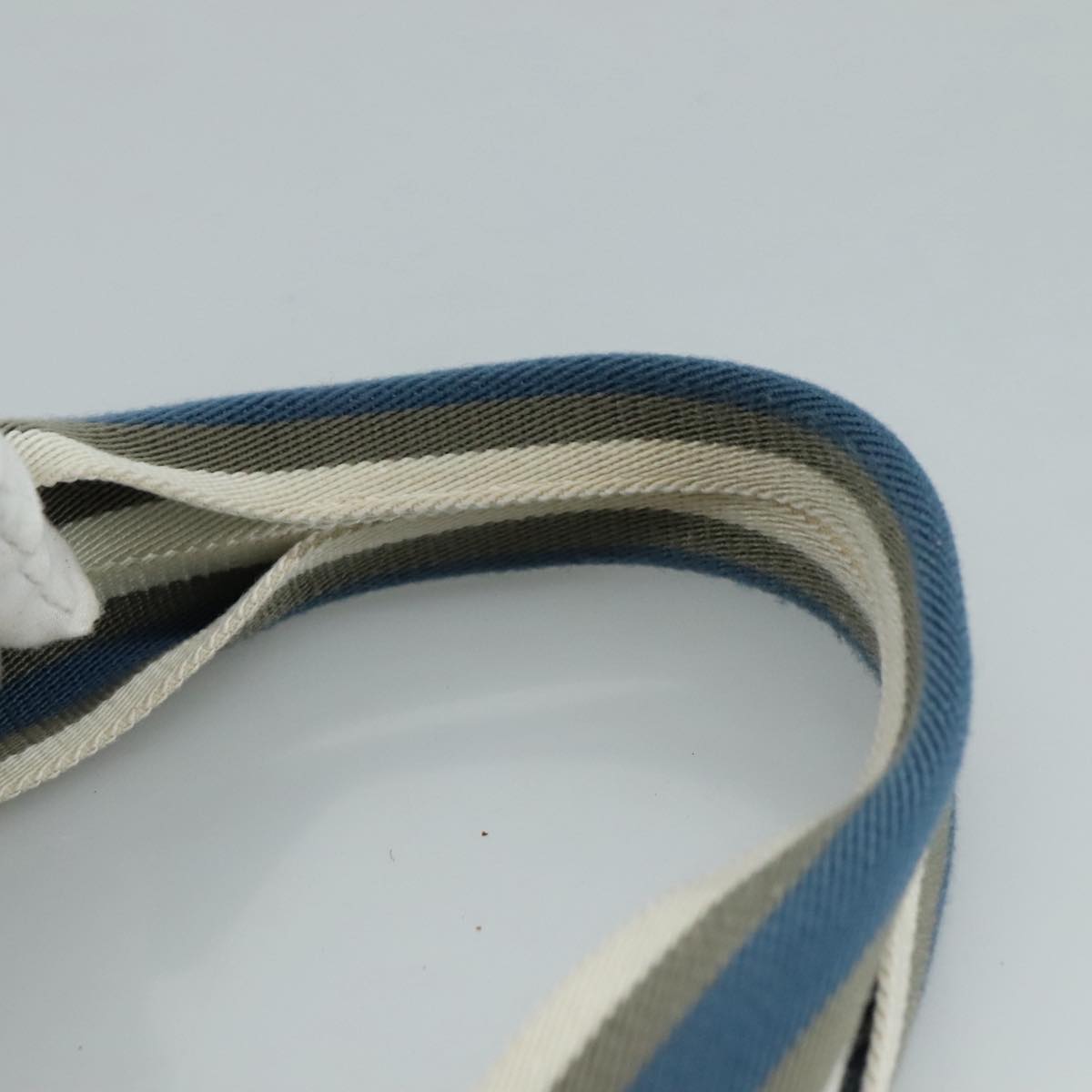 Gucci GG canvas