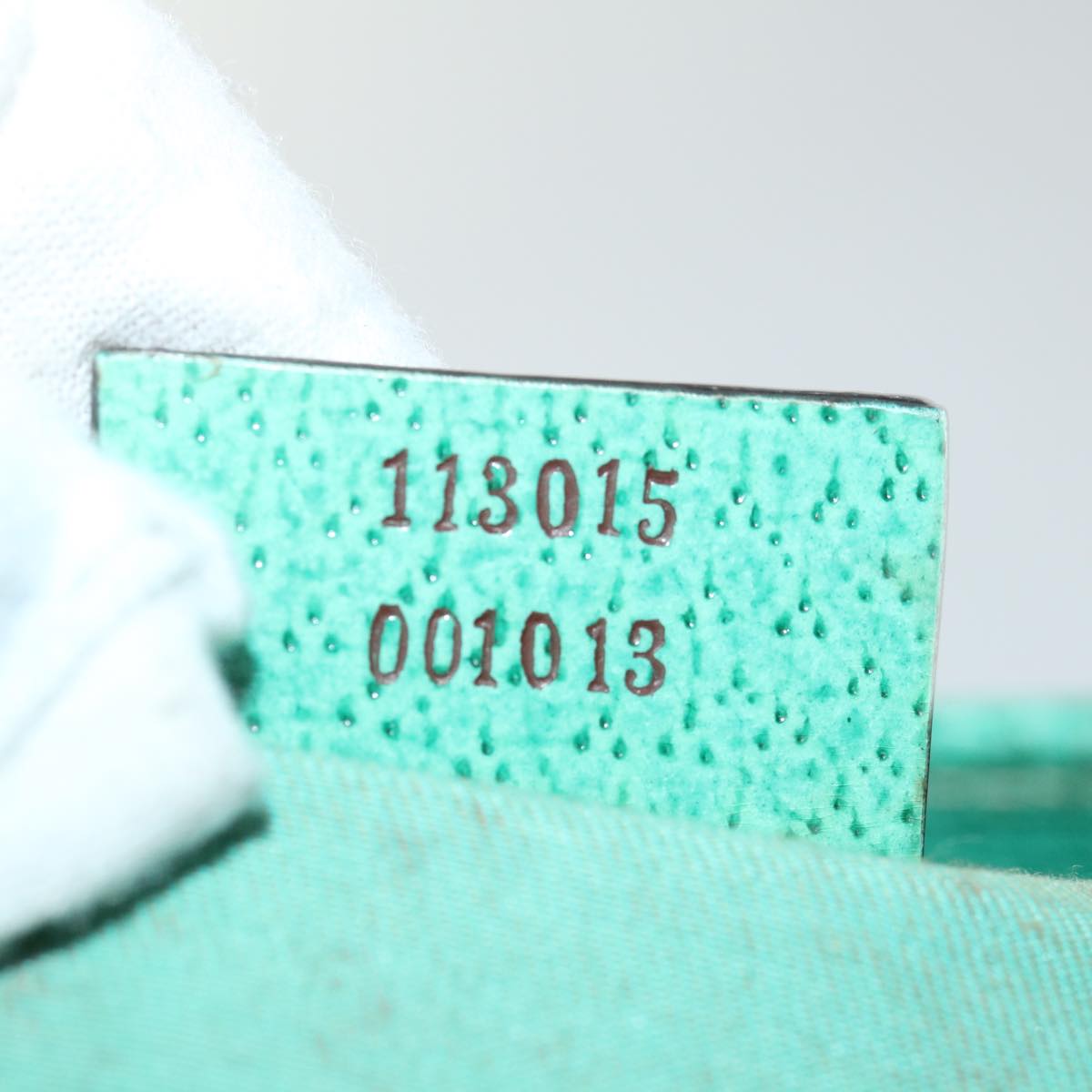 Gucci GG canvas