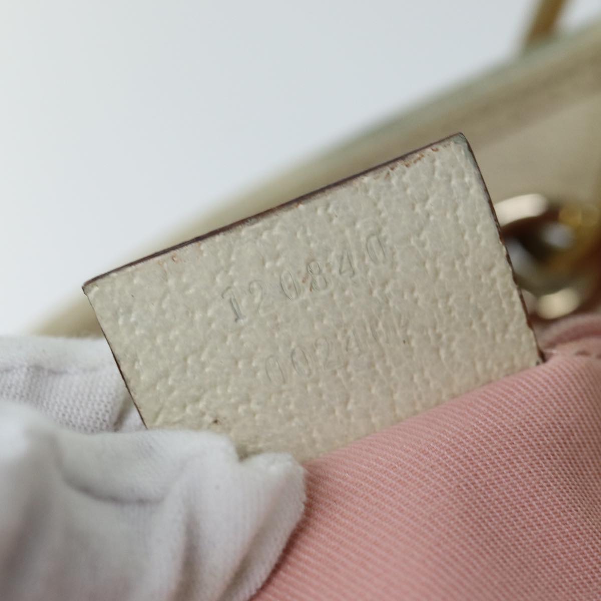 Gucci GG canvas