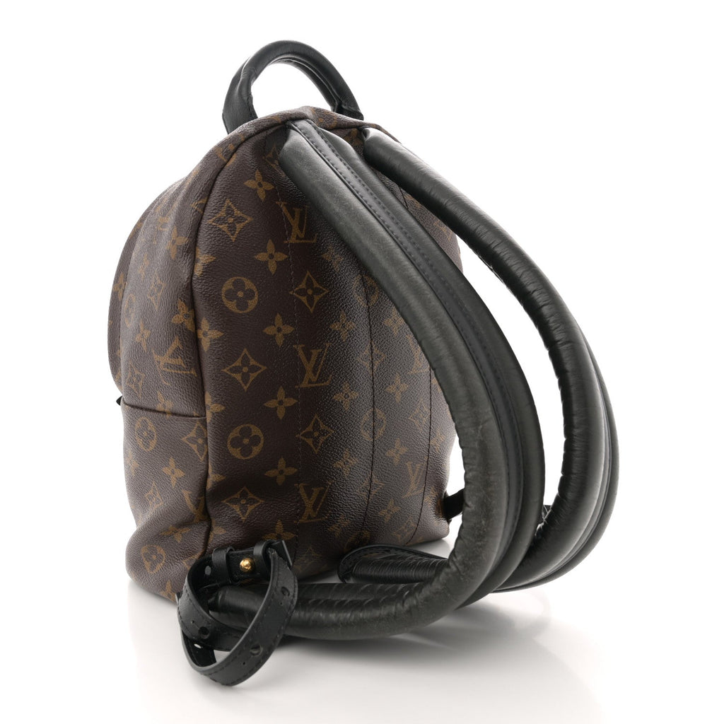 Monogram Palm Springs Backpack PM