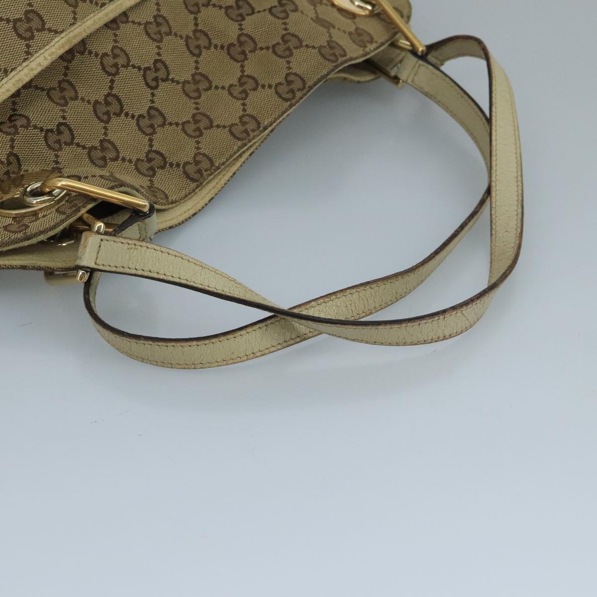Gucci GG canvas
