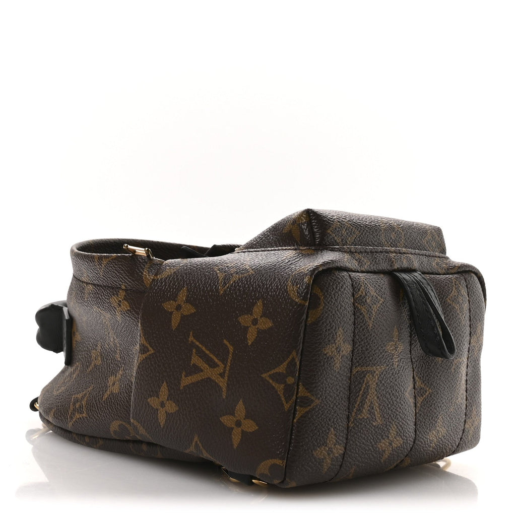 Monogram Palm Springs Backpack Mini