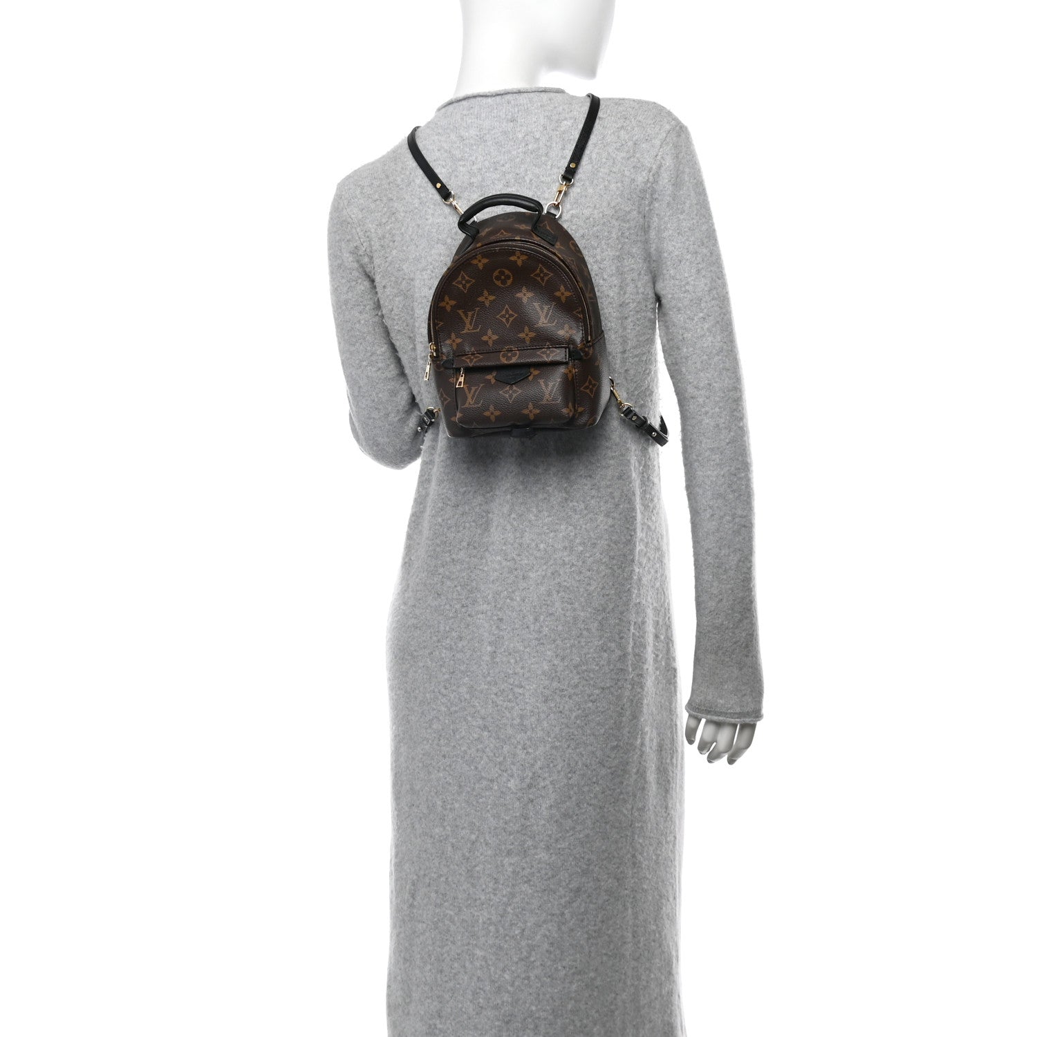 Monogram Palm Springs Backpack Mini
