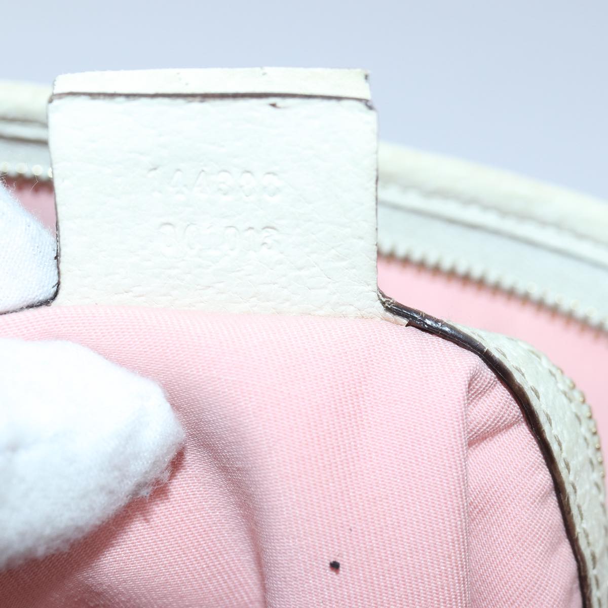 Gucci GG canvas