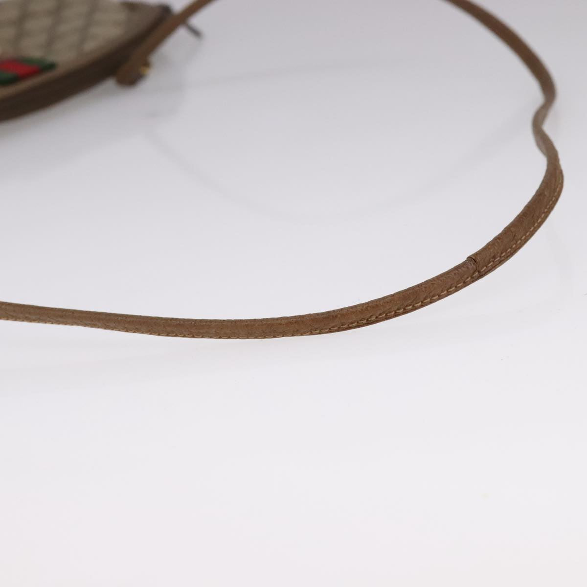 Gucci GG canvas