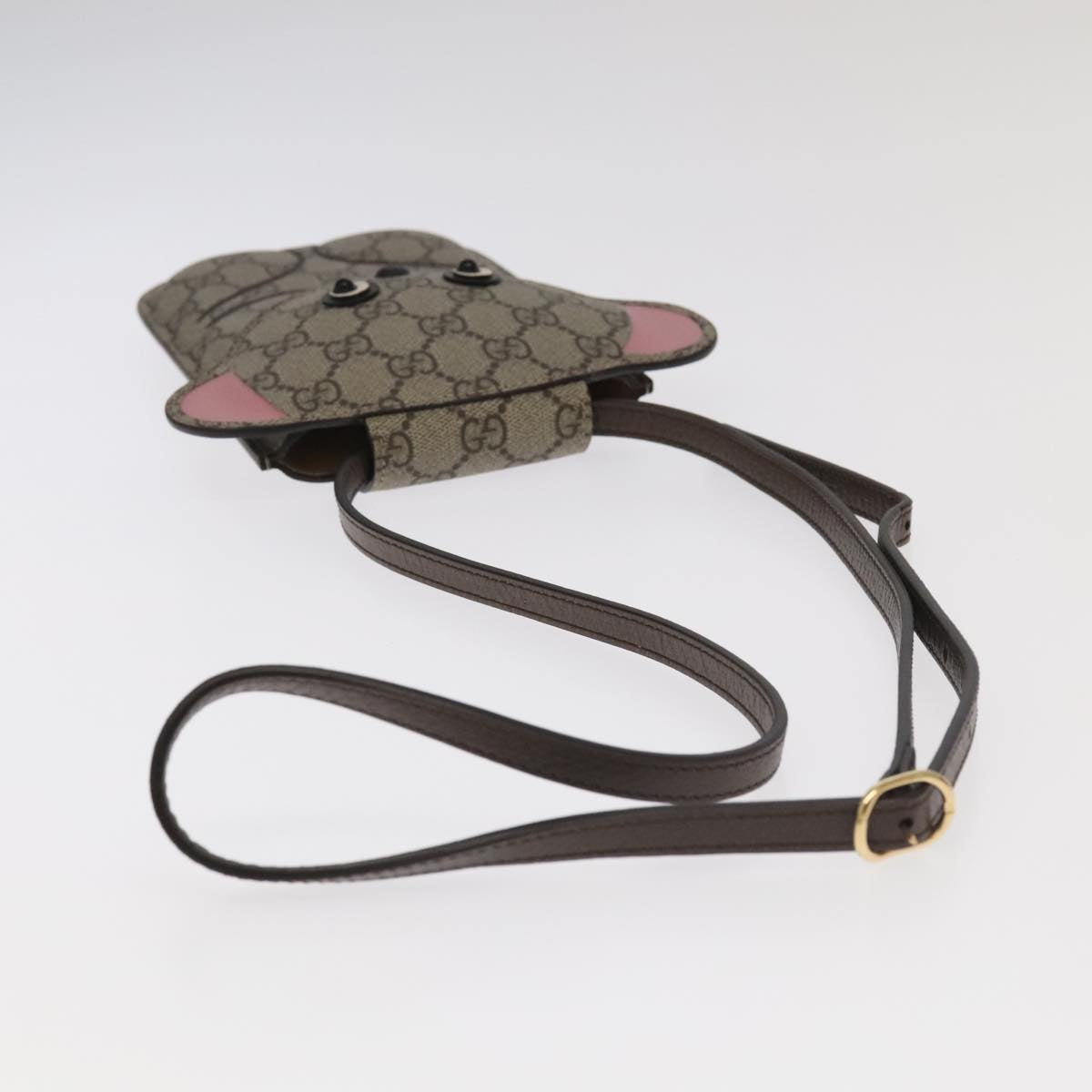 Gucci GG canvas