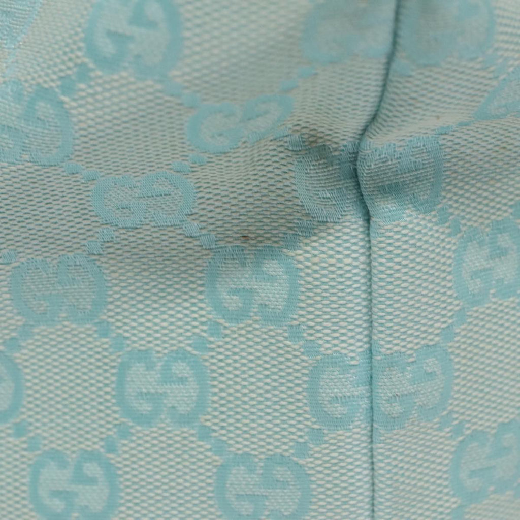 Gucci GG canvas