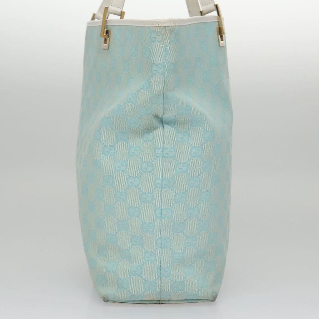 Gucci GG canvas