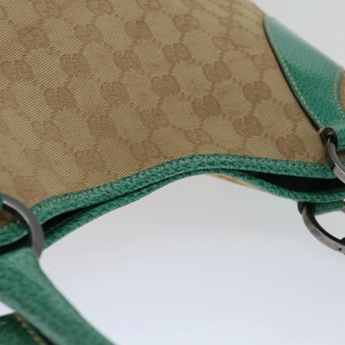 Gucci GG canvas