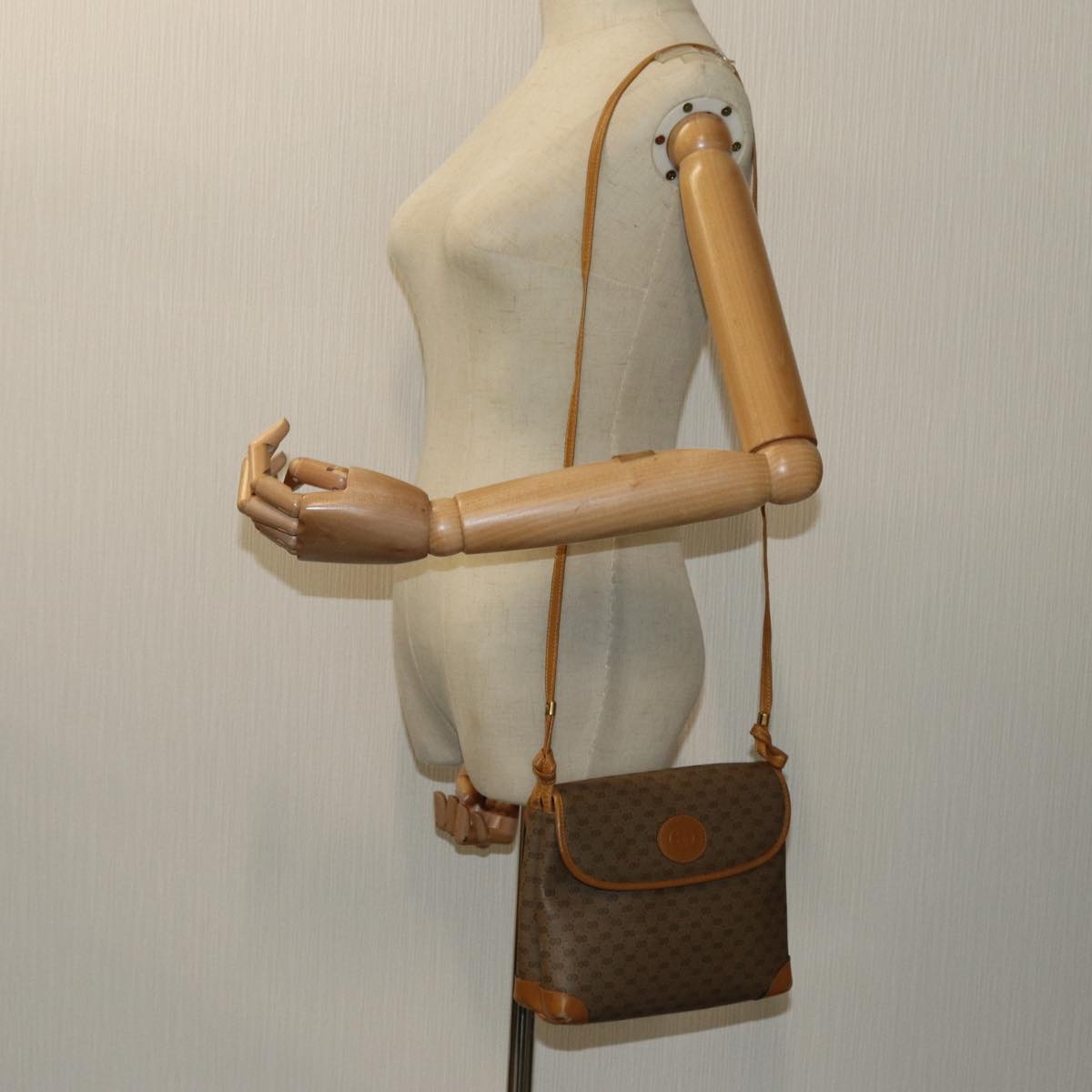 Gucci GG canvas