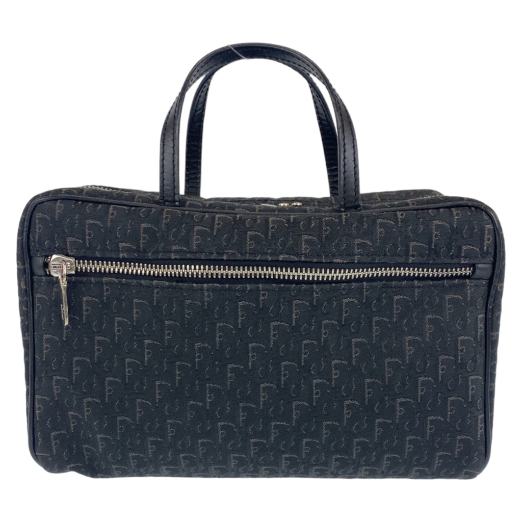 DiorTravel Vanity Case Oblique Canvas
