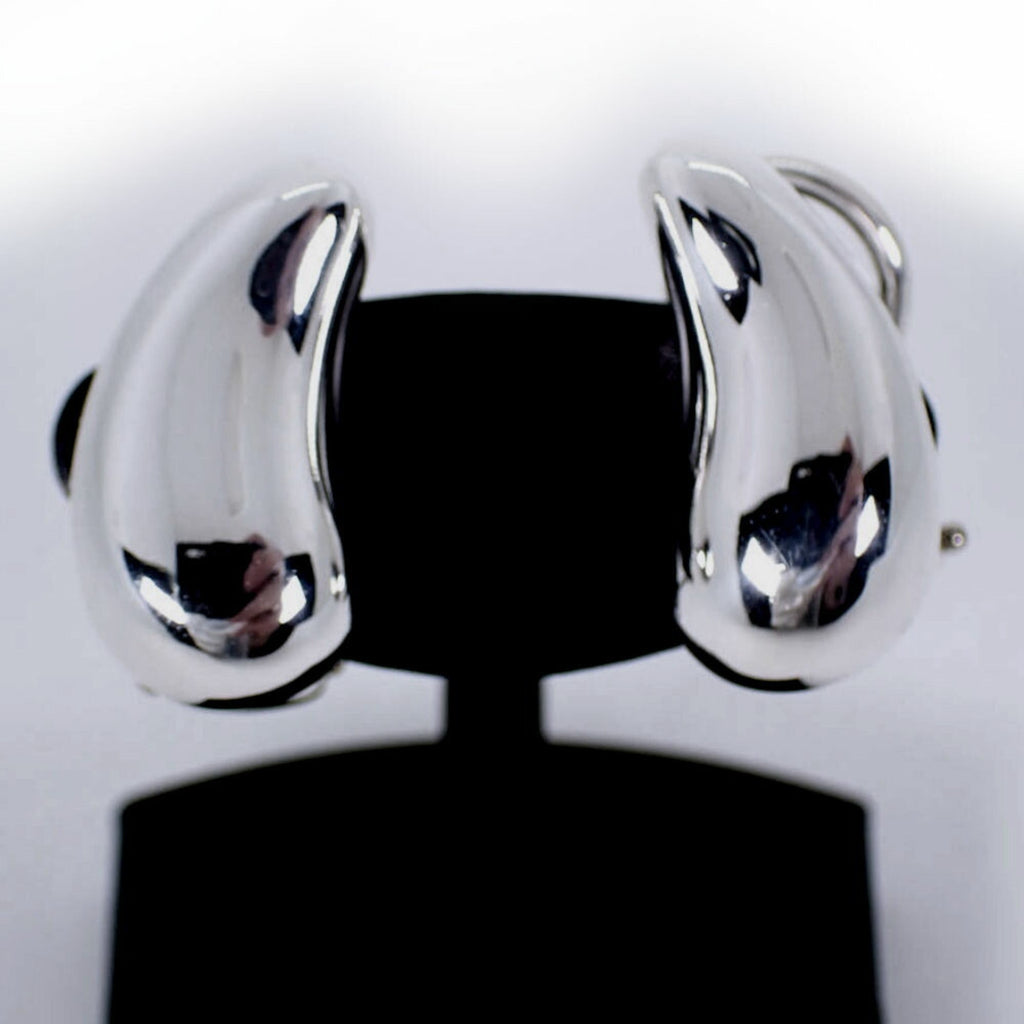 Earrings Sterling Silver