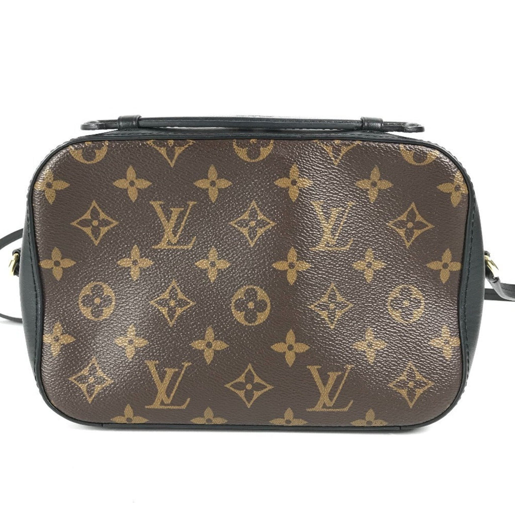 Saintonge Handbag Monogram Canvas with Leather