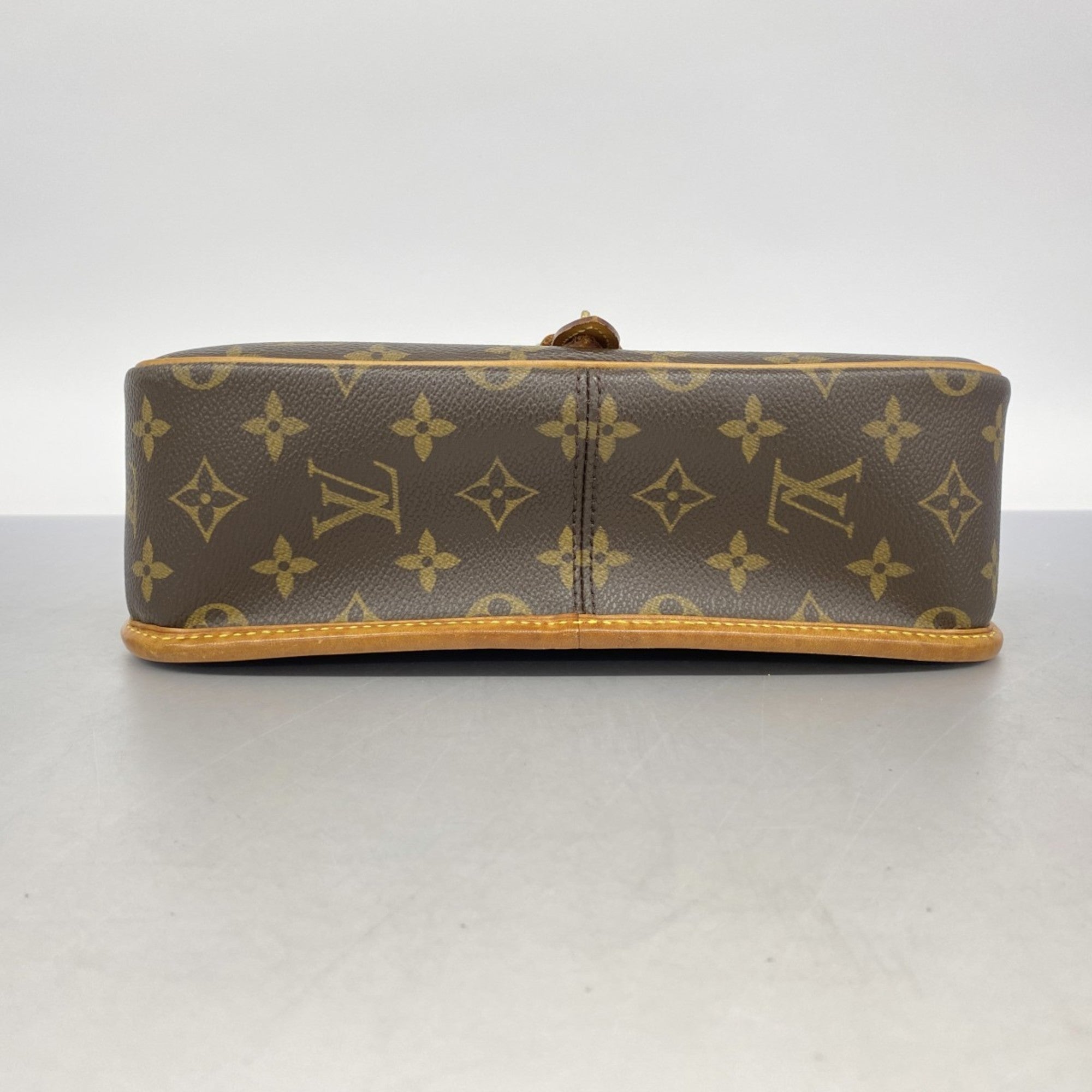 Sologne Handbag Monogram Canvas