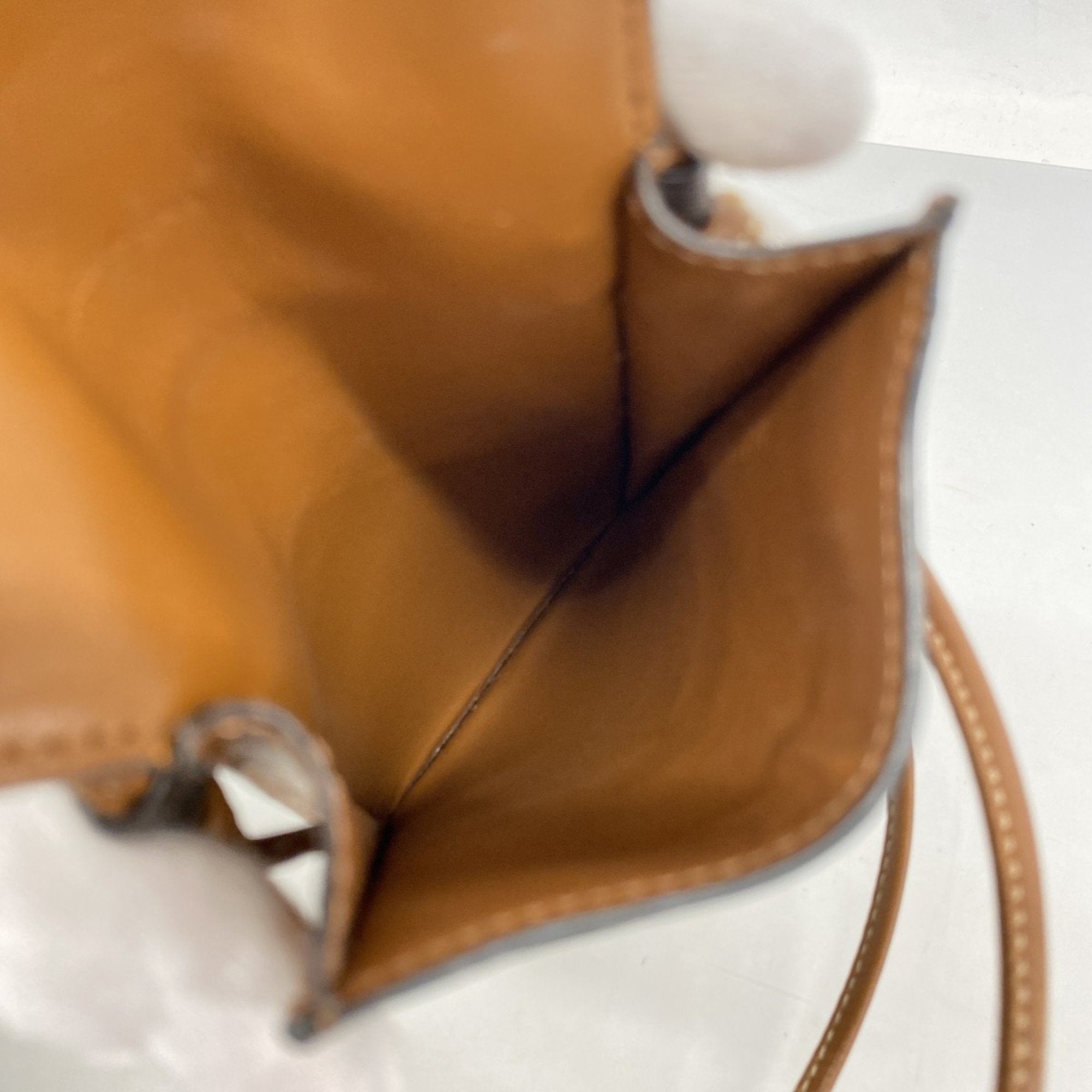 Wallet on Strap Triomphe Coated Canvas