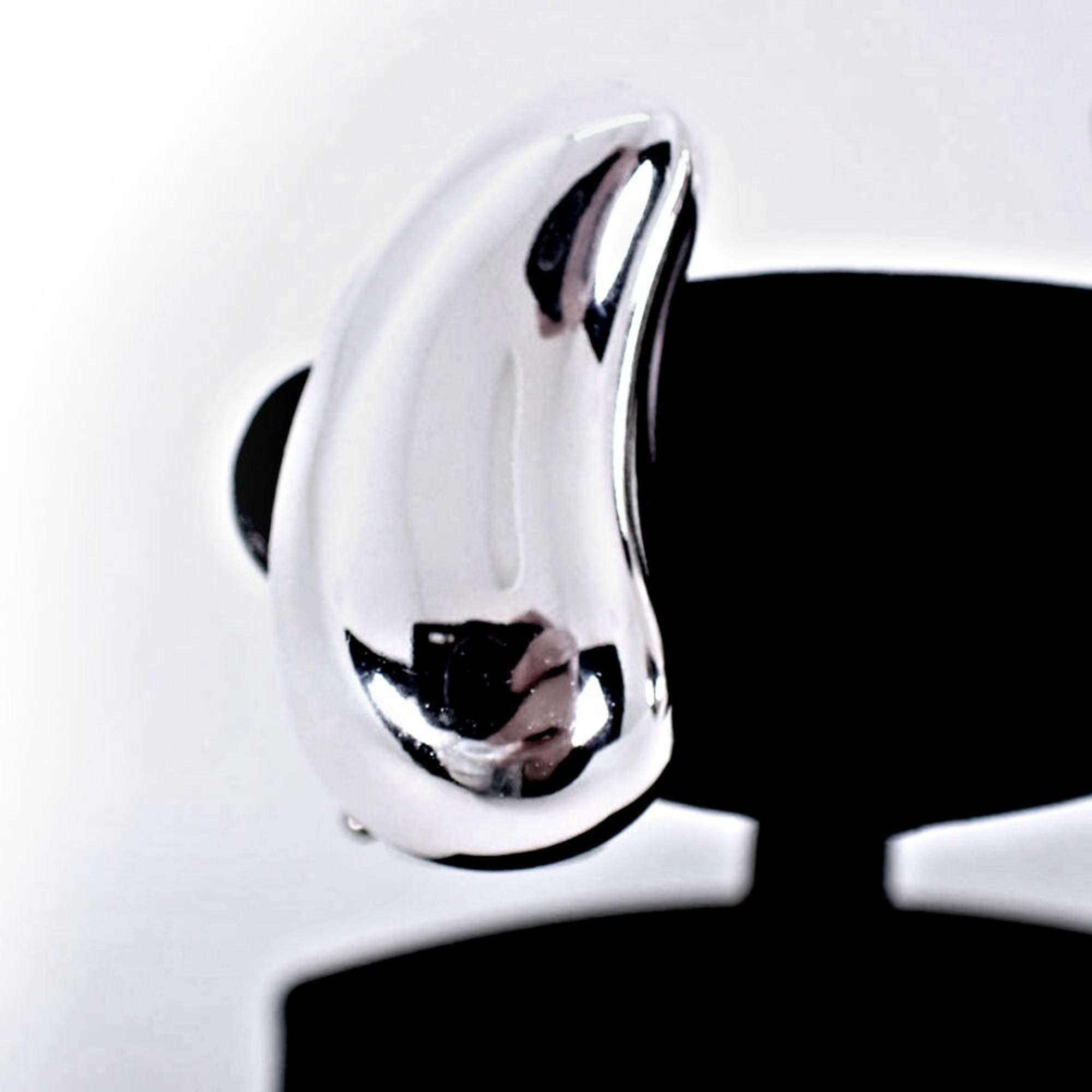 Earrings Sterling Silver