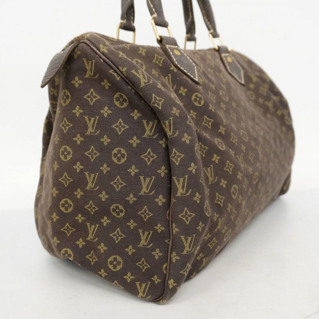 Speedy Handbag Mini Lin 30