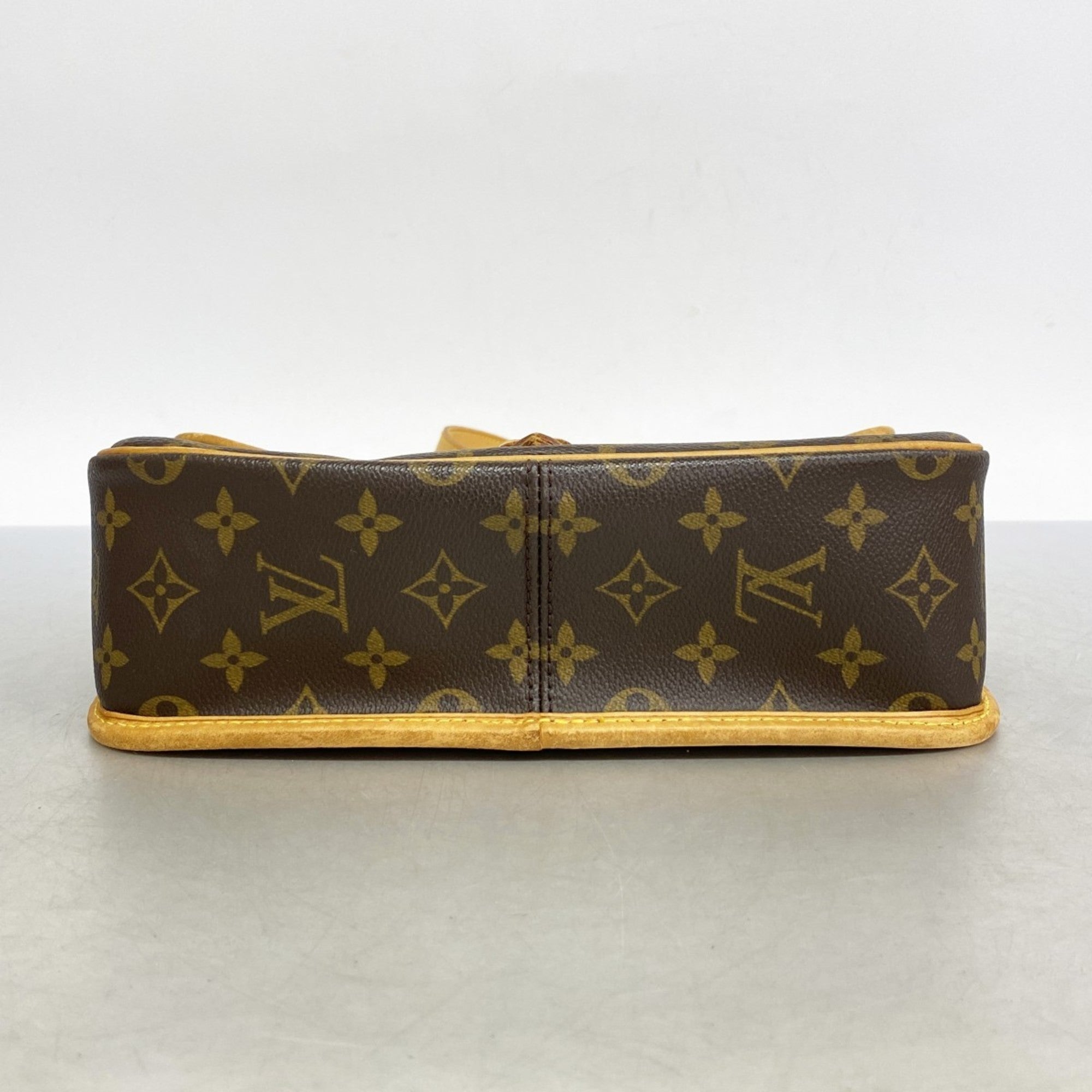 Sologne Handbag Monogram Canvas