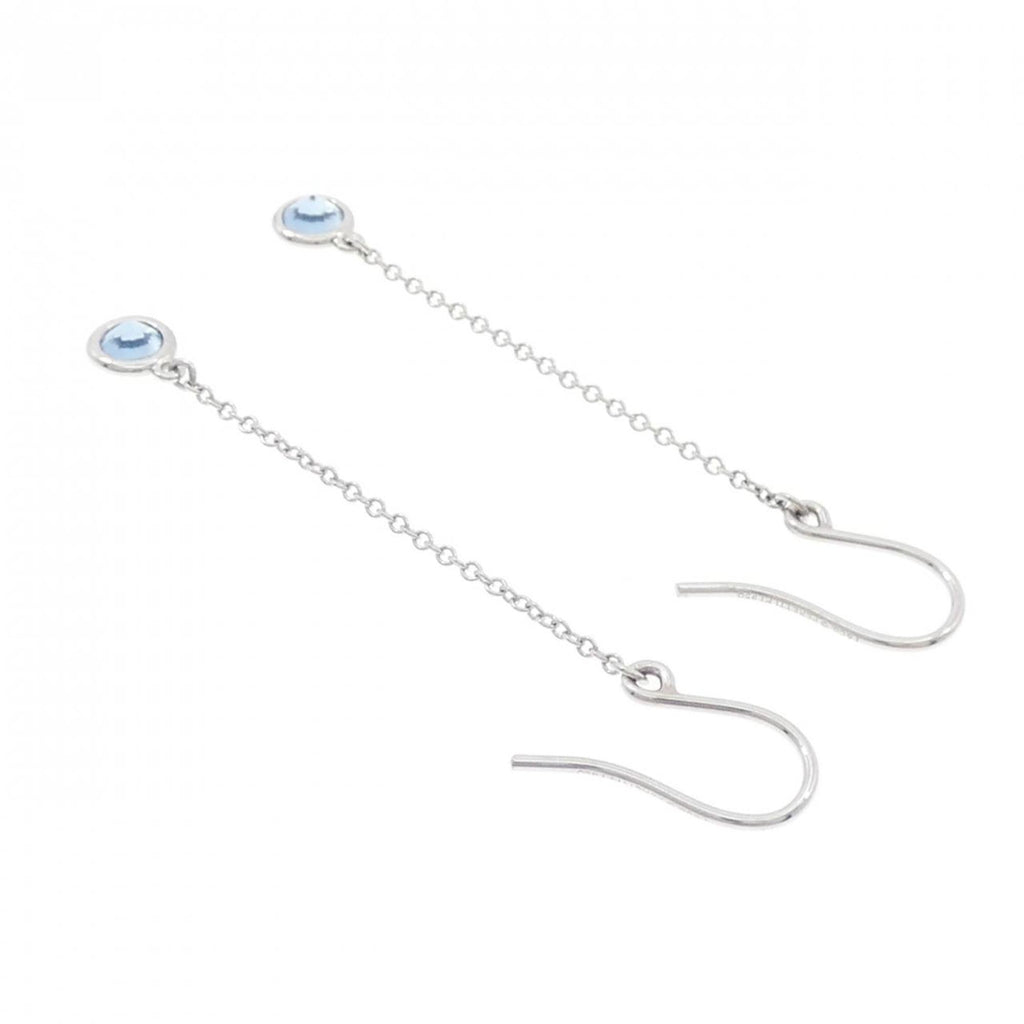 Earrings Platinum