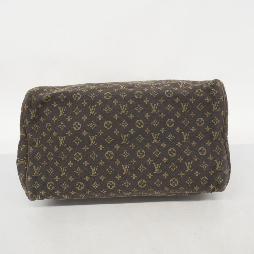 Speedy Handbag Mini Lin 30