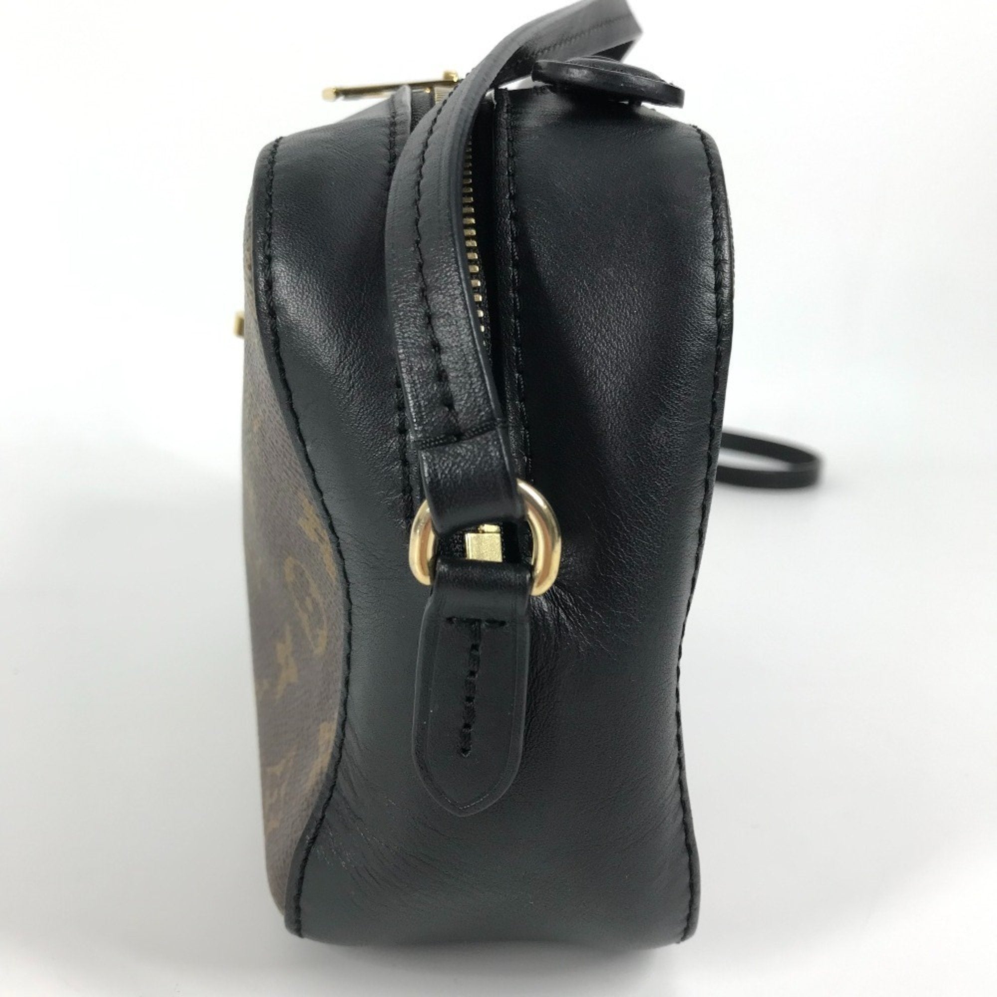 Saintonge Handbag Monogram Canvas with Leather