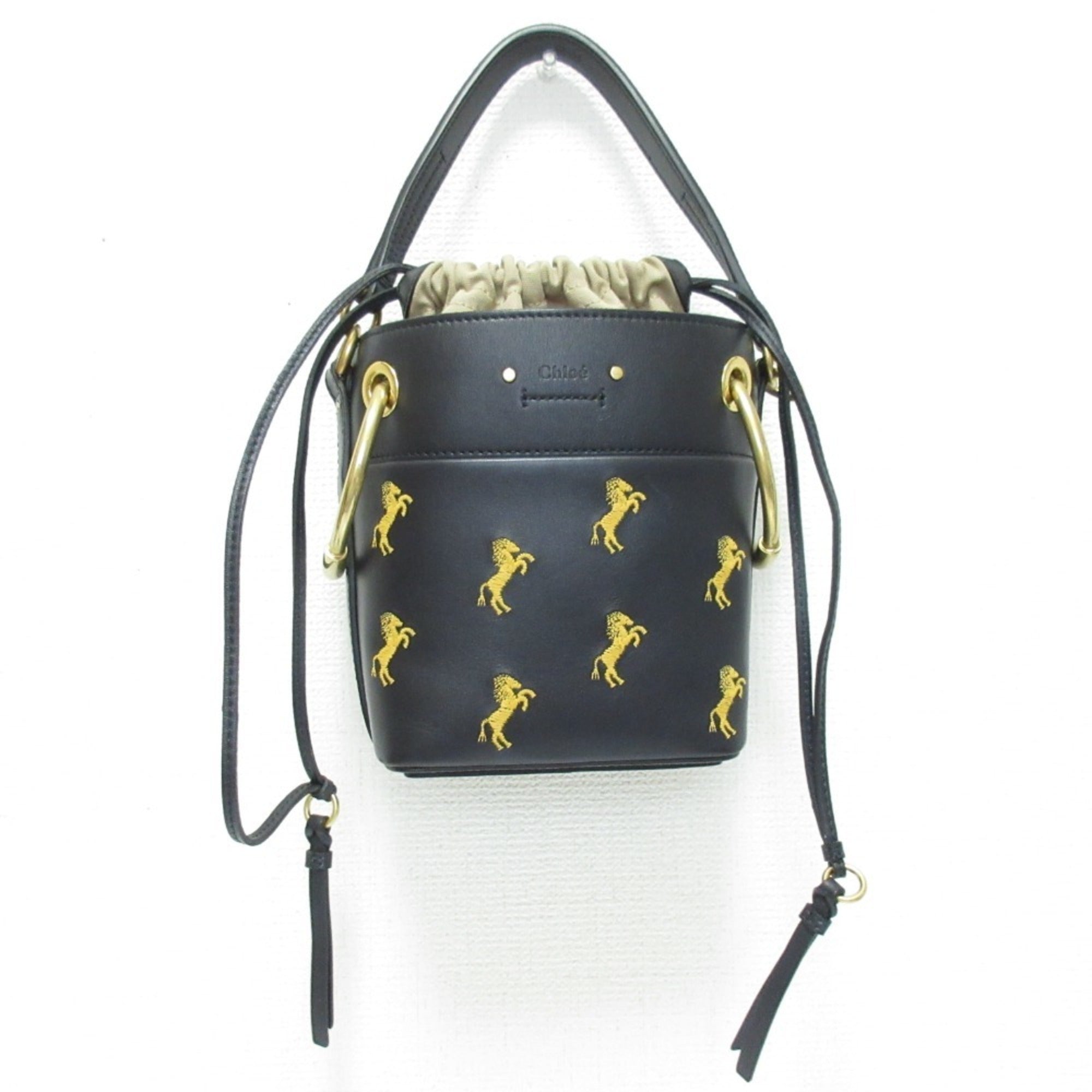 Roy Bucket Bag Embroidered Leather Mini