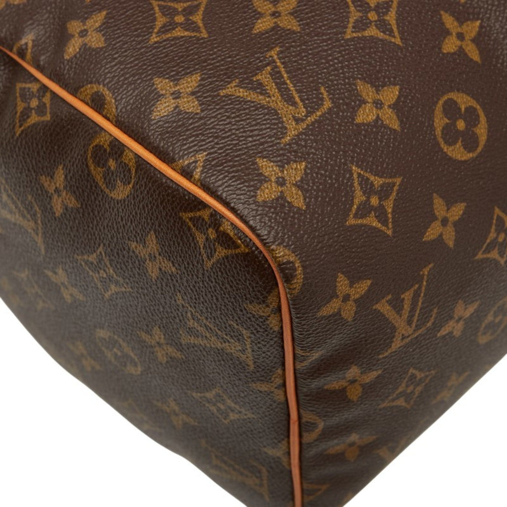 Speedy Handbag Monogram Canvas 30