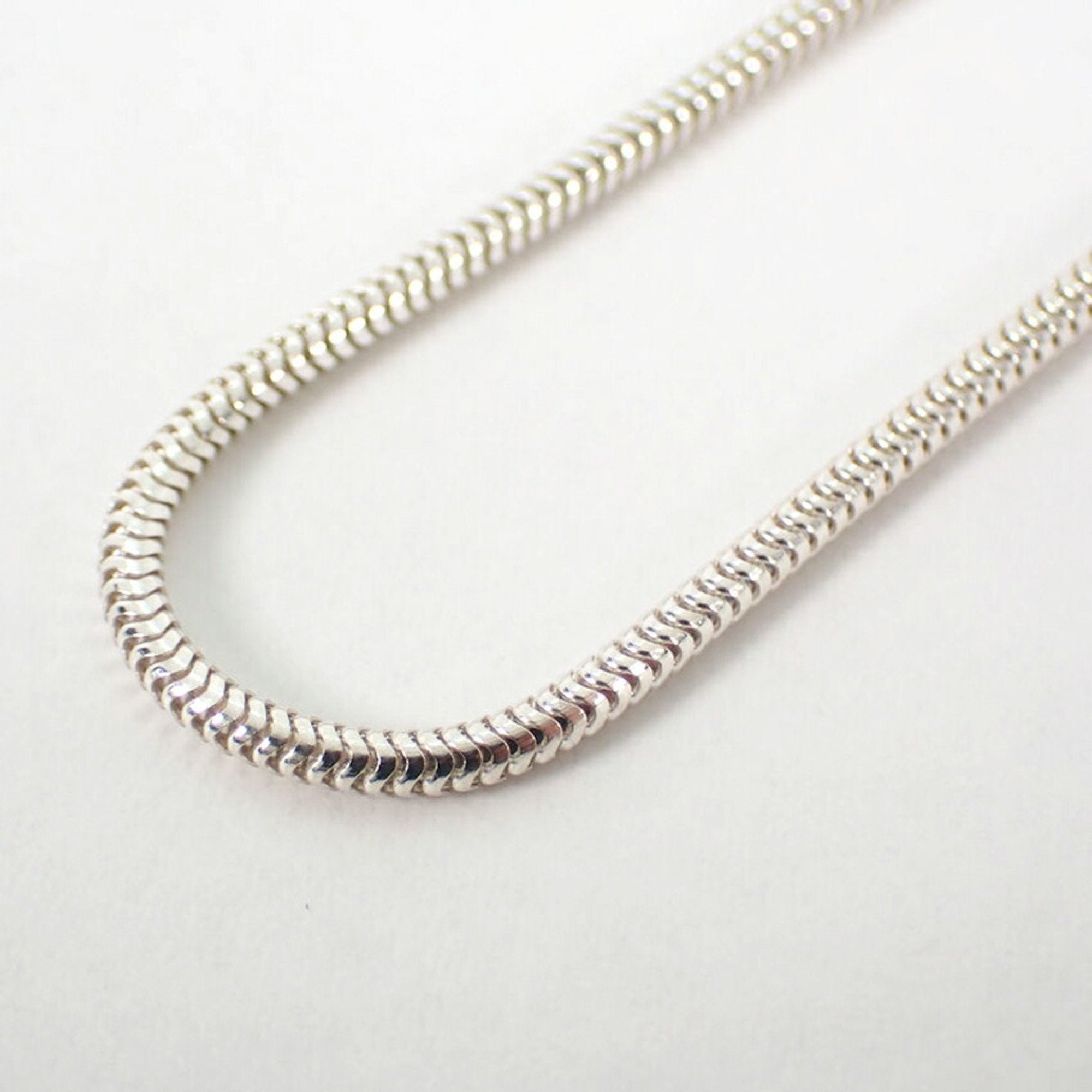 Snake Long Chain Pendant Necklace Sterling Silver